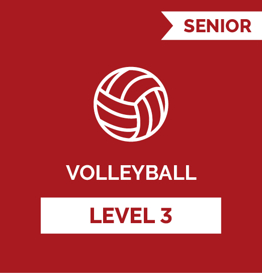 Volleyball SR - Level 3