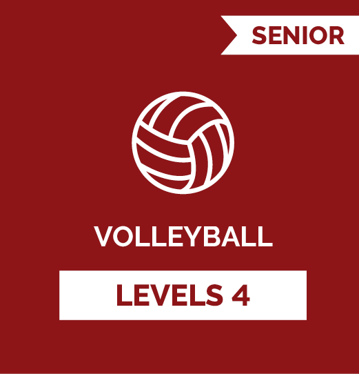 Volleyball SR - Level 4