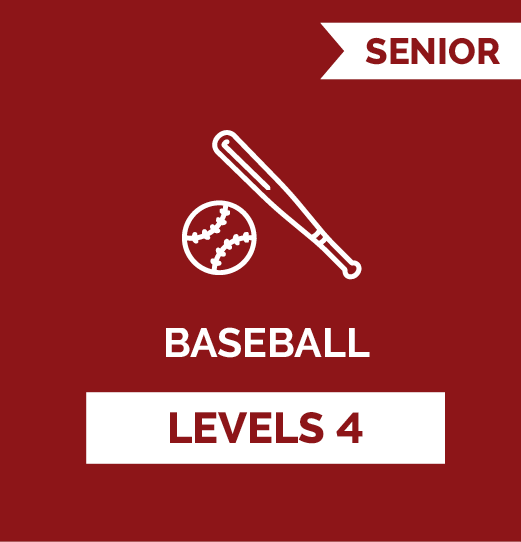 Baseball SR - Level 4