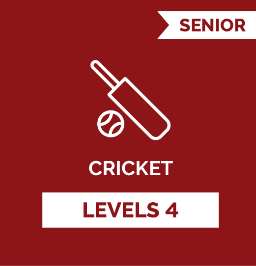 Cricket SR - Level 4