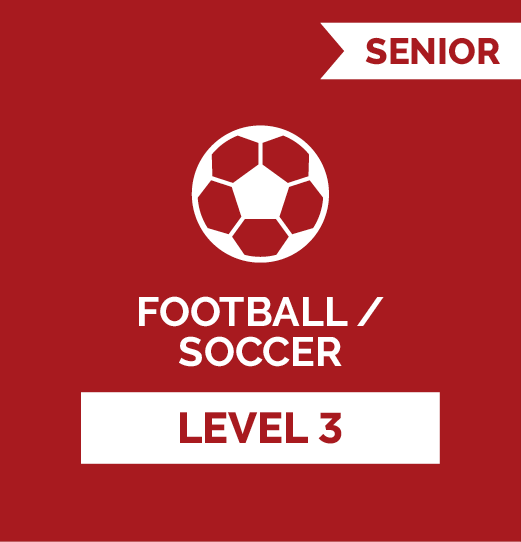 Football (Soccer) SR - Level 3