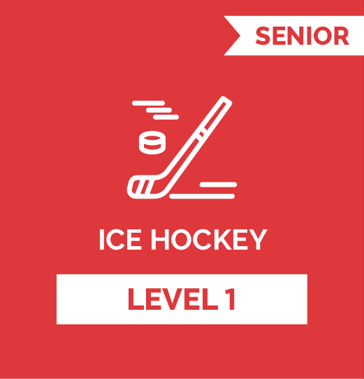Ice Hockey SR - Level 1