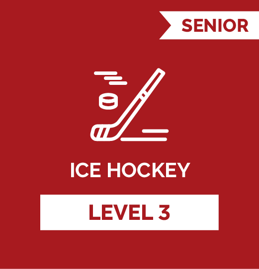 Ice Hockey SR - Level 3