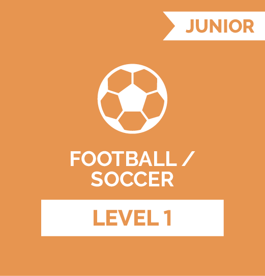 Football (Soccer) JR - Level 1
