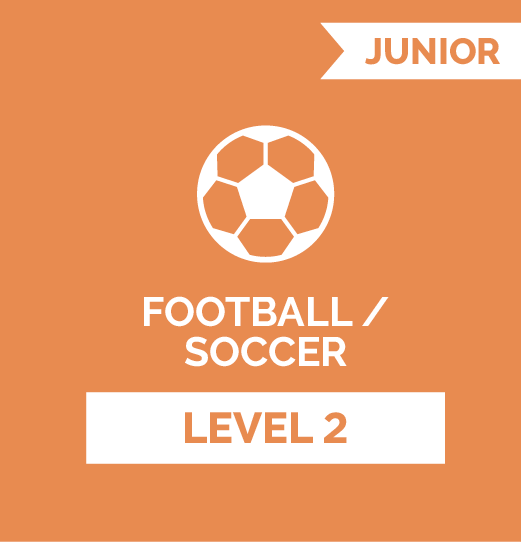 Football (Soccer) JR - Level 2
